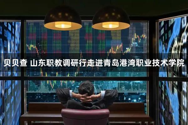 贝贝查 山东职教调研行走进青岛港湾职业技术学院