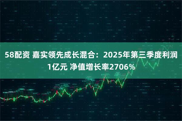 58配资 嘉实领先成长混合：2025年第三季度利润1亿元 净值增长率2706%
